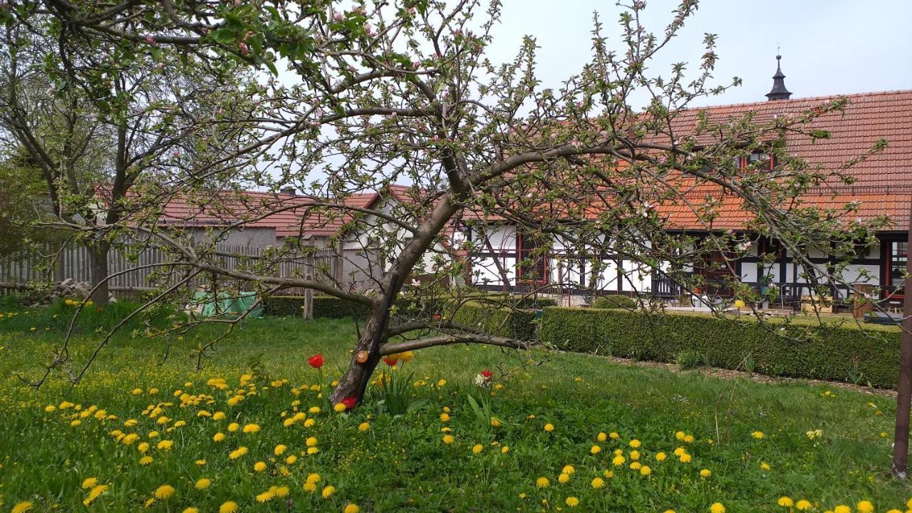 Pension Toepferhof Bad Berka Exterior foto